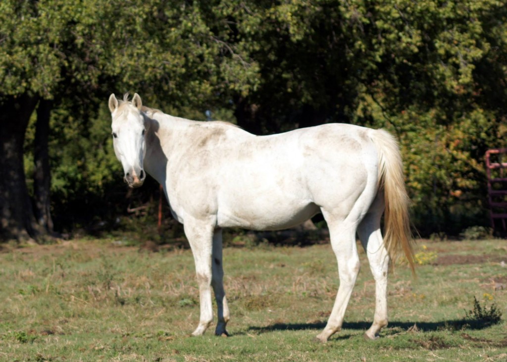 Son of Mariah - October 2013